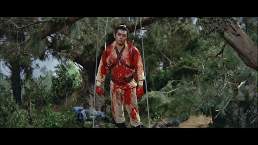 Return of the One-Armed Swordsman